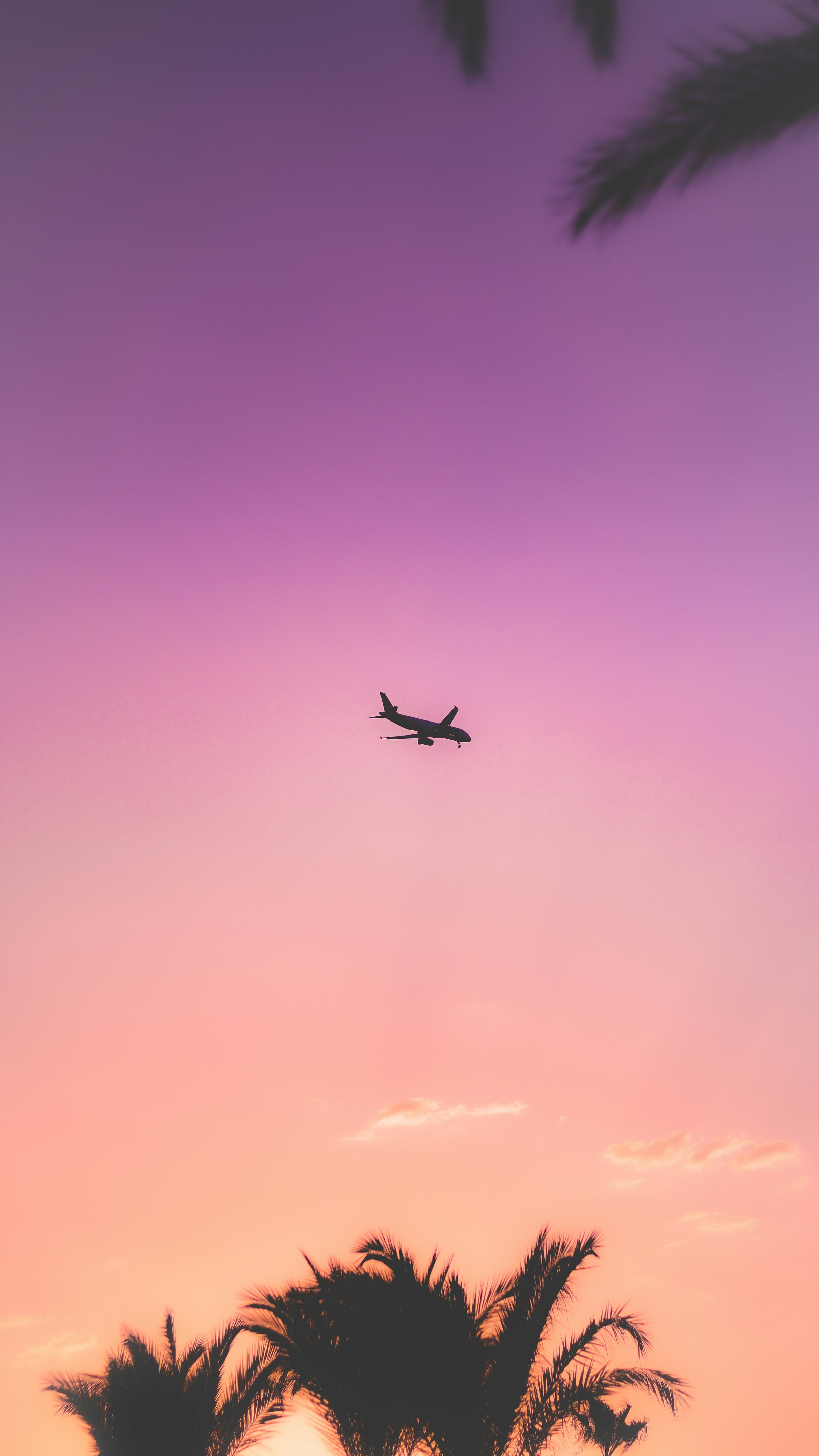 Airplane flying during a vibrant sunset with palm trees silhouetted against a purple and orange sky.