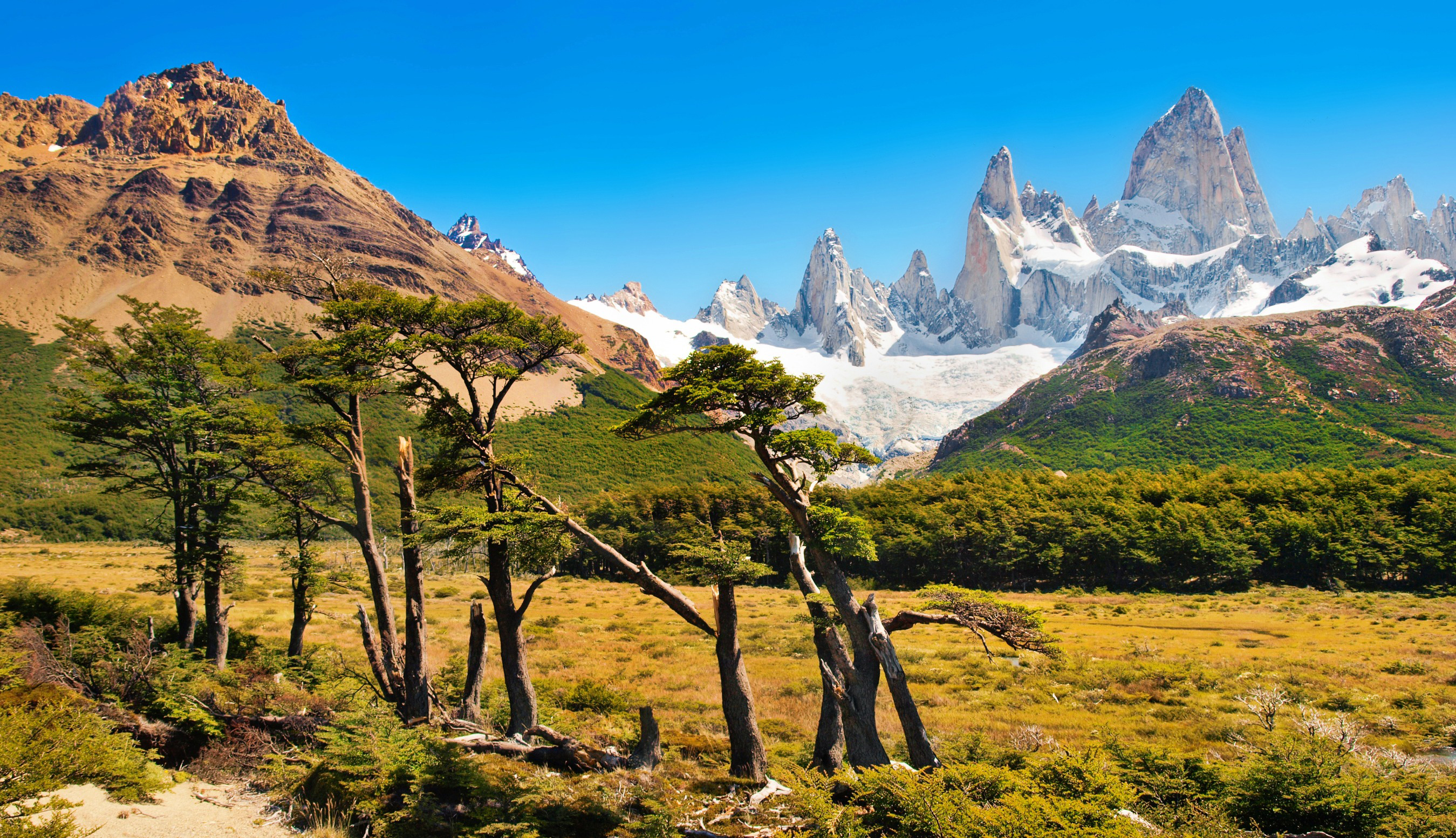 Travel to Argentina - View of Mount Fitz Roy in Patagonia, Argentina, with rugged peaks, lush greenery, and blue sky.