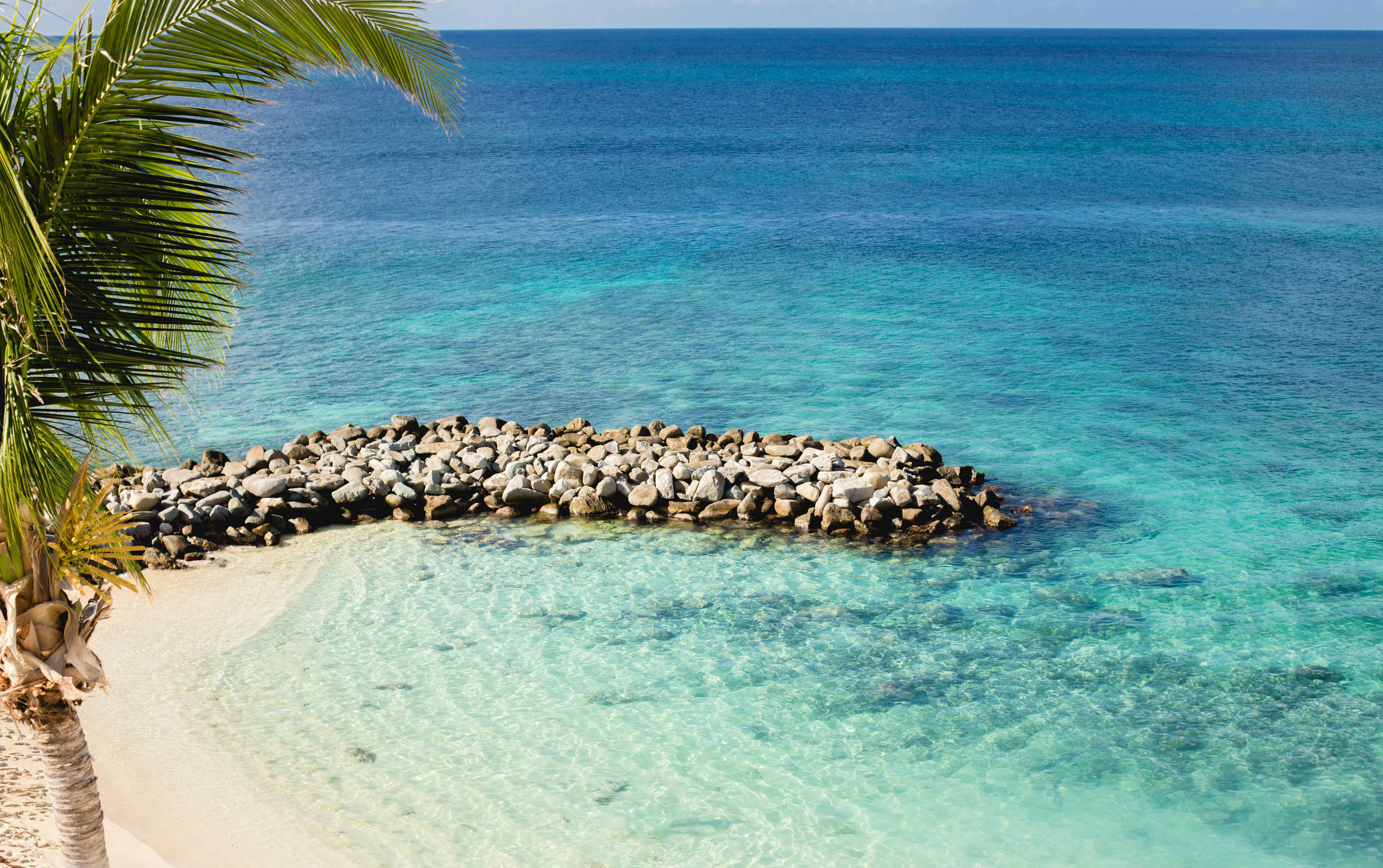Tropisk strand med krystallklart vann, en palme og en steinmolo ved havkanten