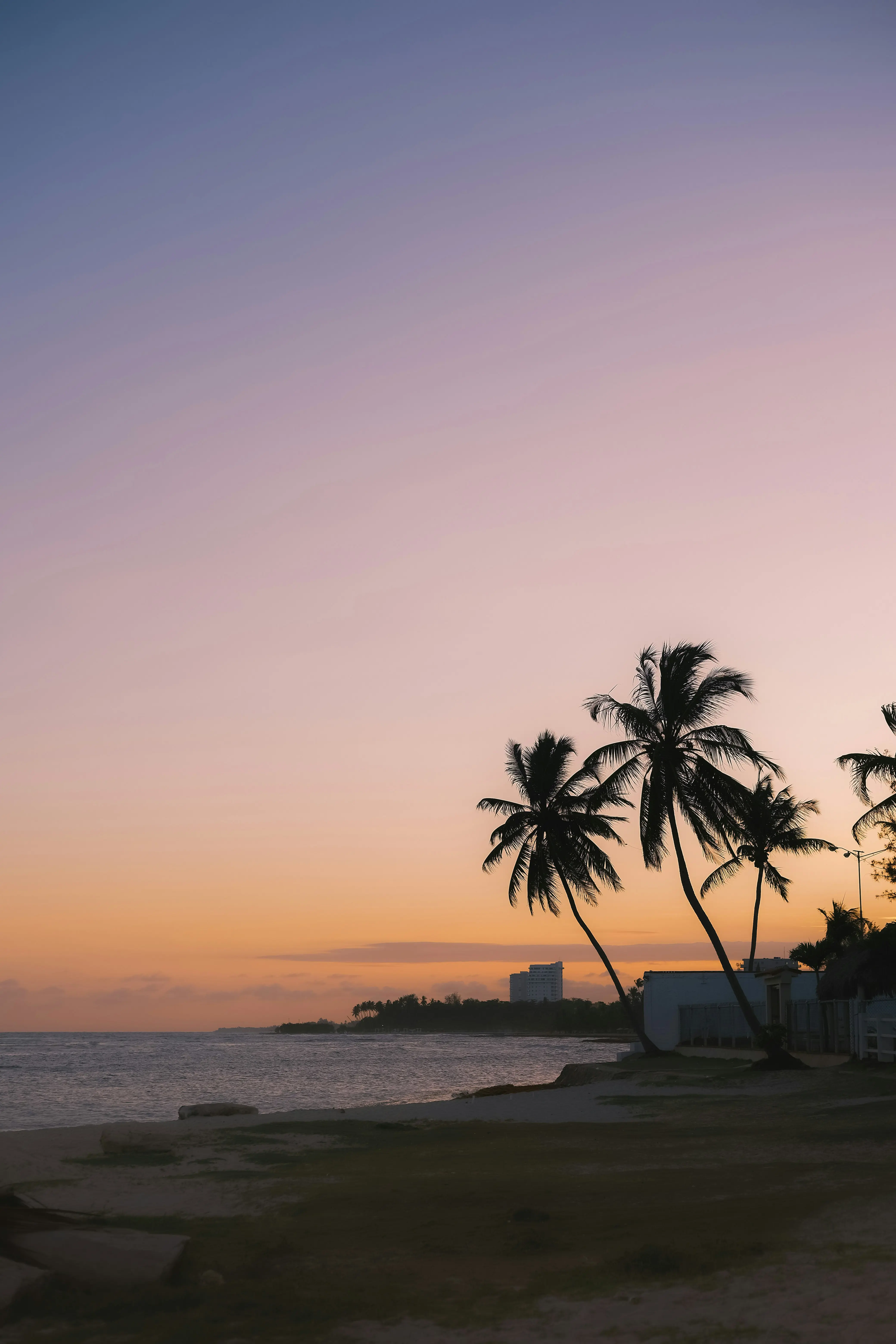 Solnedgang ved stranden med palmetrær mot en fargerik himmel