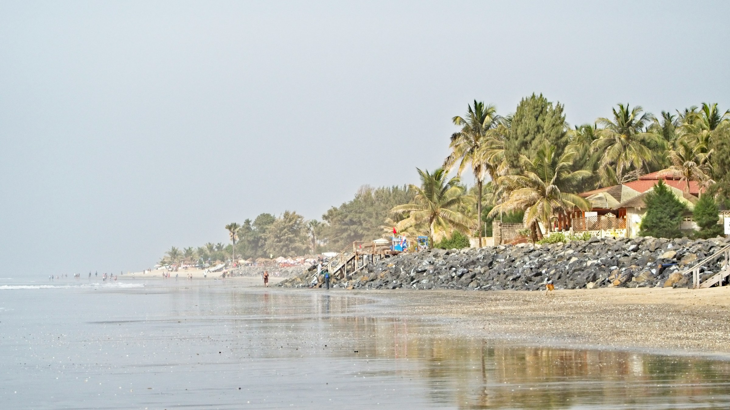 Beachfront with palm trees and rocky shore, featuring a distant view of people walking along Saly Beach in Senegal, under a cloudy sky.