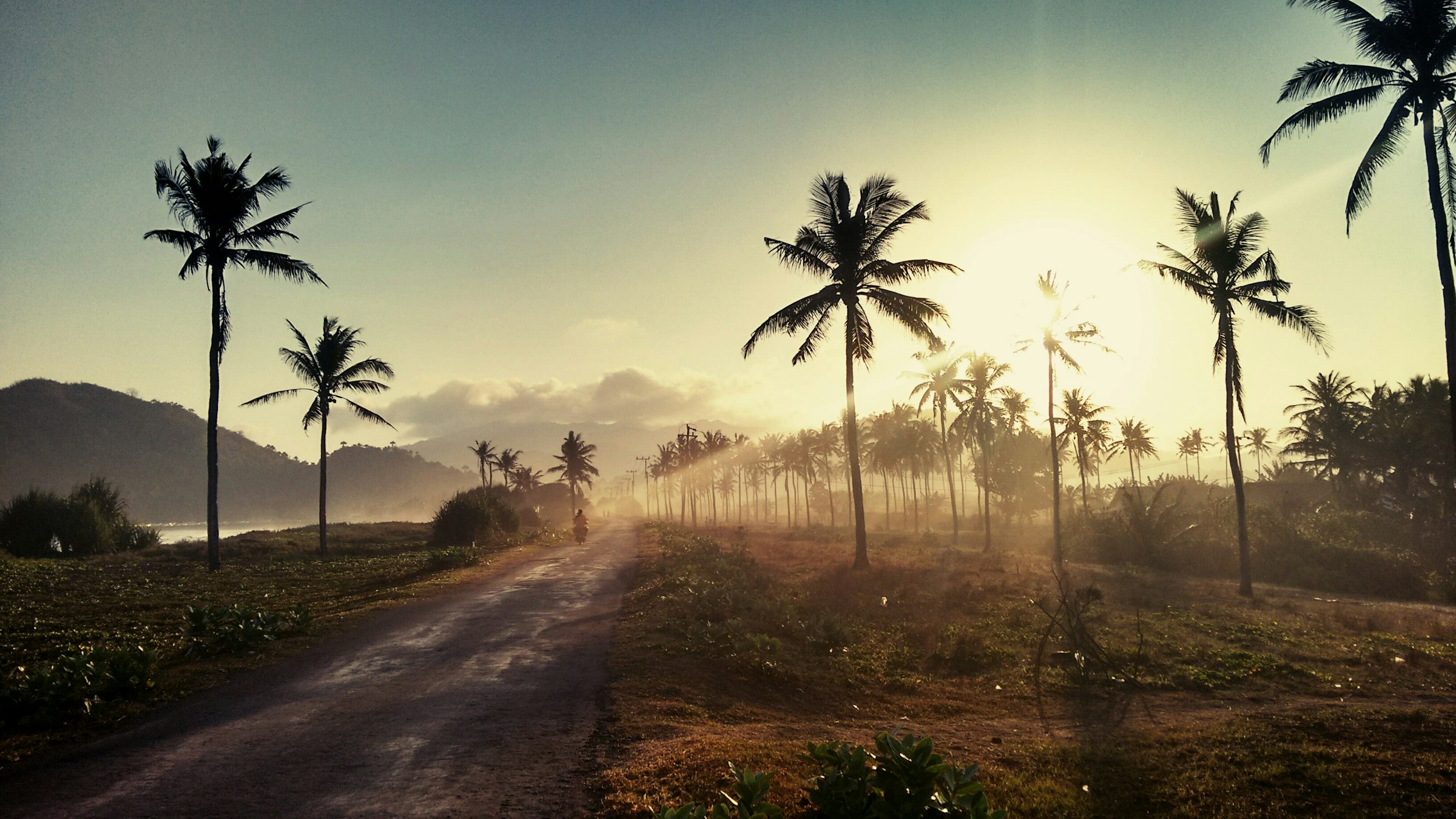 Tropical sunrise view with palm trees lining a dirt road, mountains in the background, and a warm, golden sky.