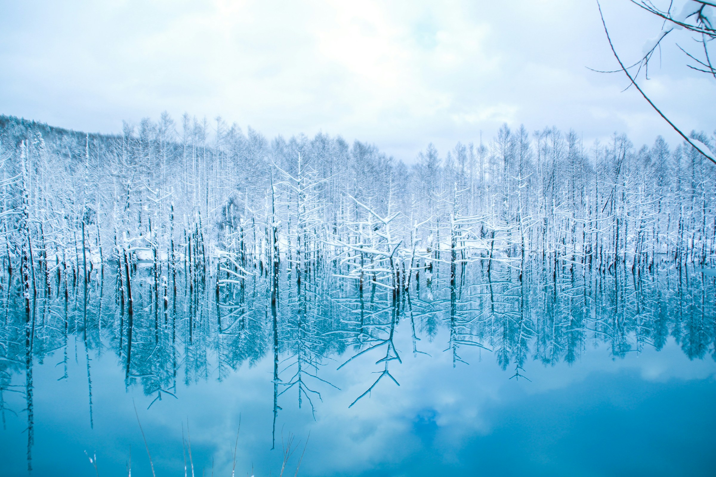 Snødekte trær speiler seg i en klar blå innsjø, under en overskyet himmel i Hokkaido, Japan.