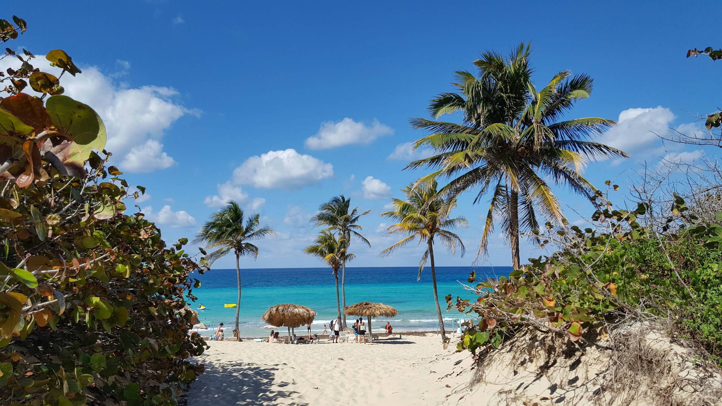 Tropical beach scene with palm trees, white sand, and turquoise ocean under a clear blue sky, featuring people relaxing and a thatched umbrella
