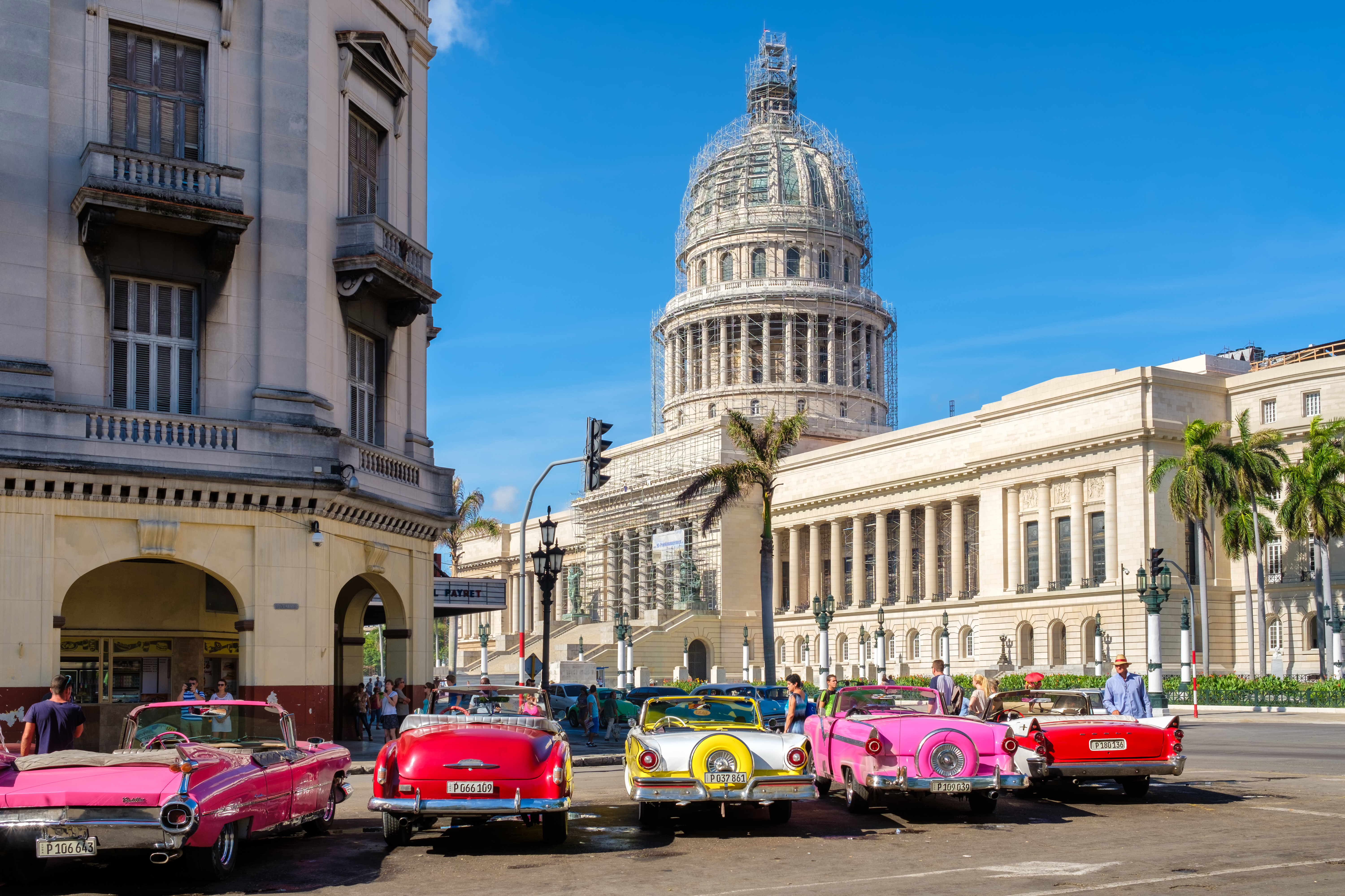 Fargerike klassiske biler parkert foran Capitol-bygningen i Havana, Cuba, med klar blå himmel og palmetrær