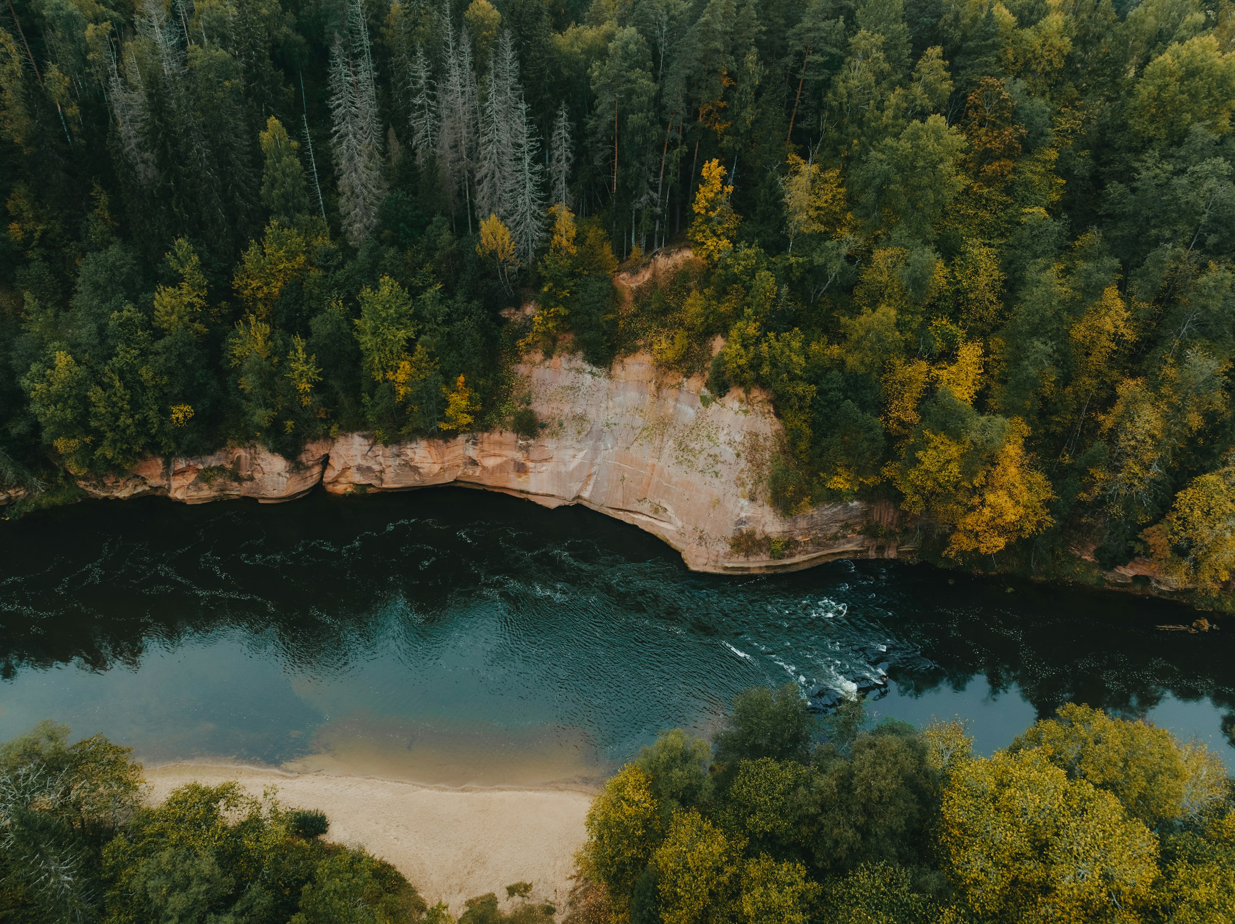 Aerial view of a river winding through a lush forest with a sandy riverbank, displaying vibrant green and autumn foliage