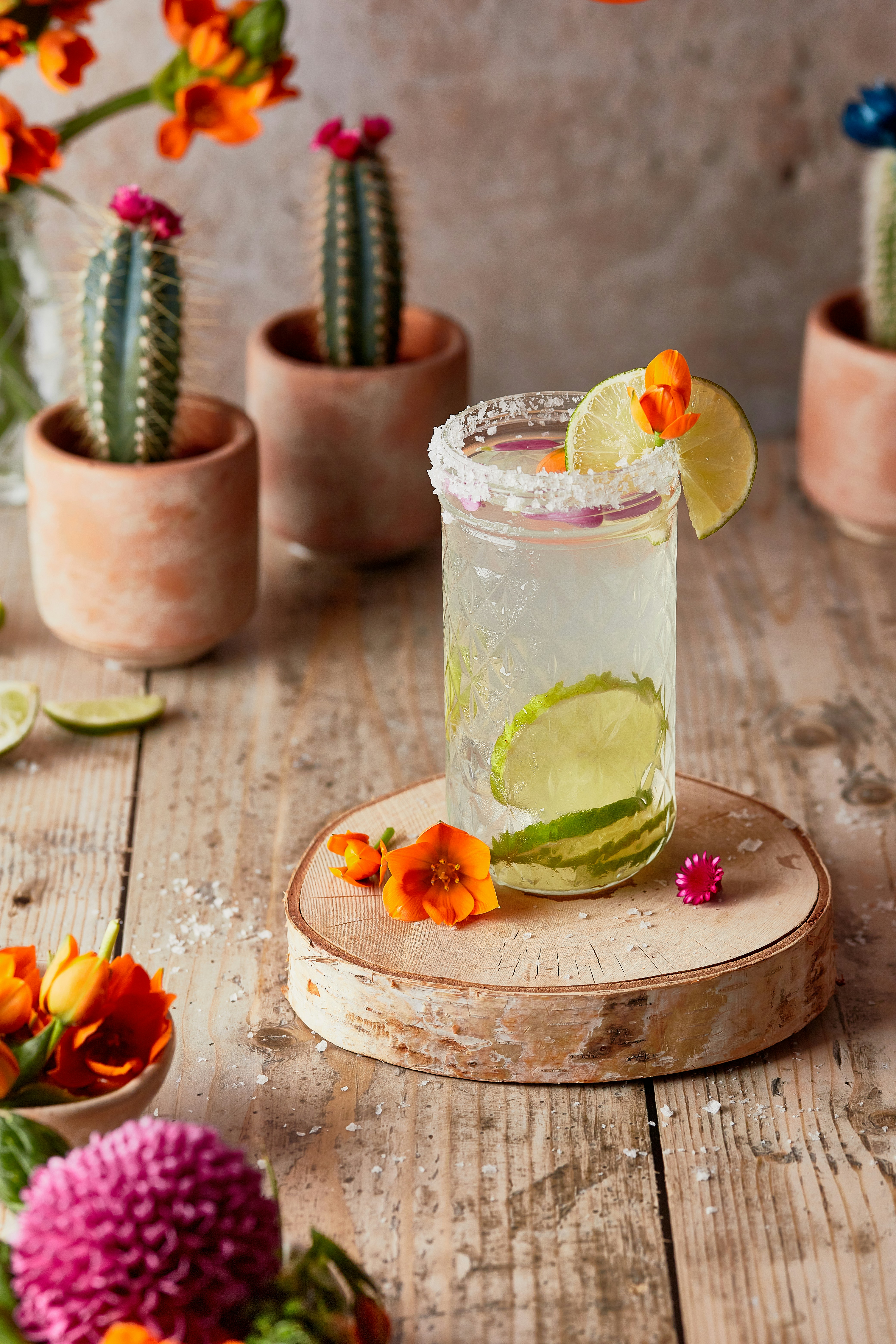 Refreshing lime cocktail garnished with a slice of lime and orange flowers, served in a salted-rim glass on a rustic wooden table, surrounded by potted cacti and vibrant flowers