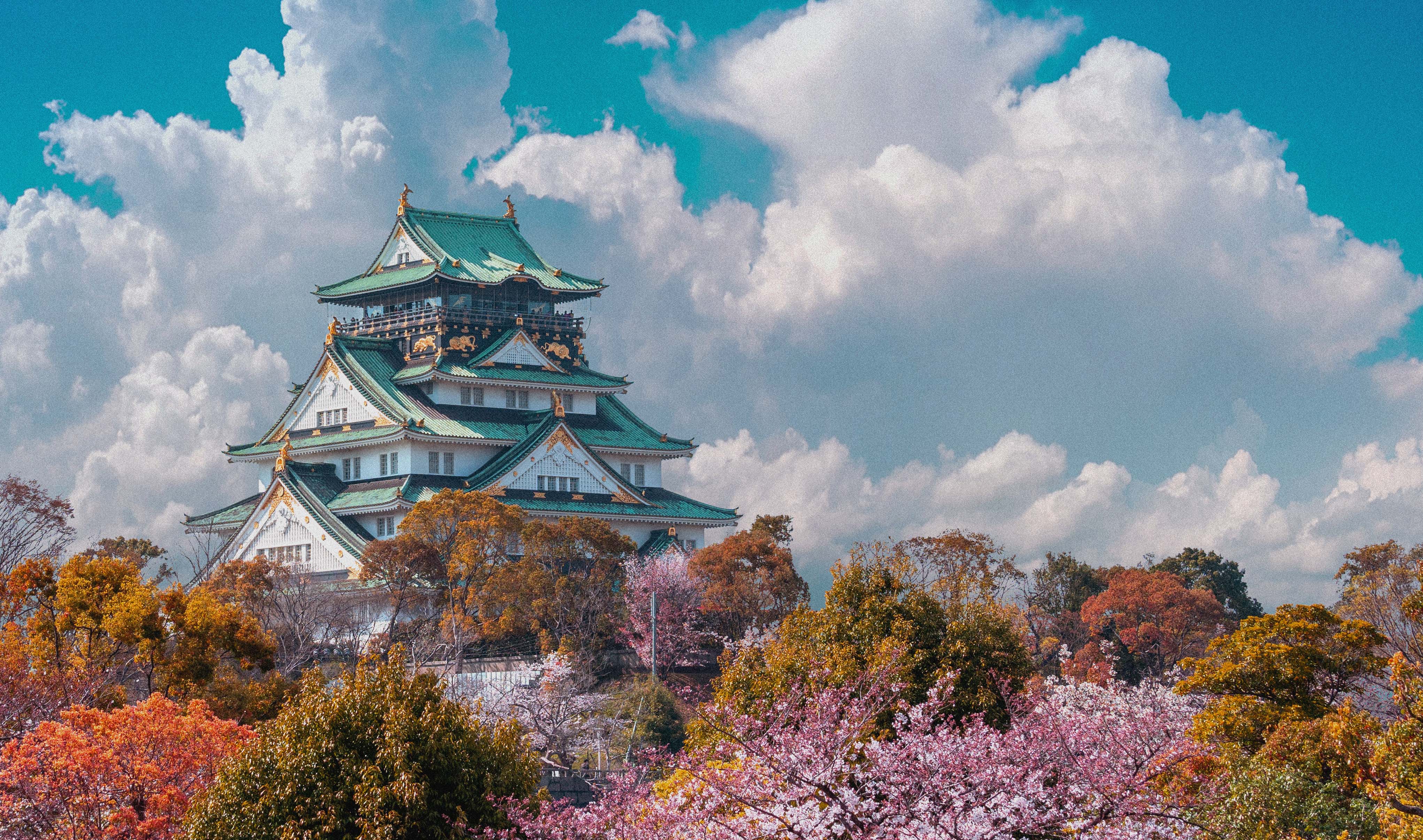 Japansk slott med tradisjonell arkitektur, omgitt av kirsebærtrær i blomst under en klar himmel.