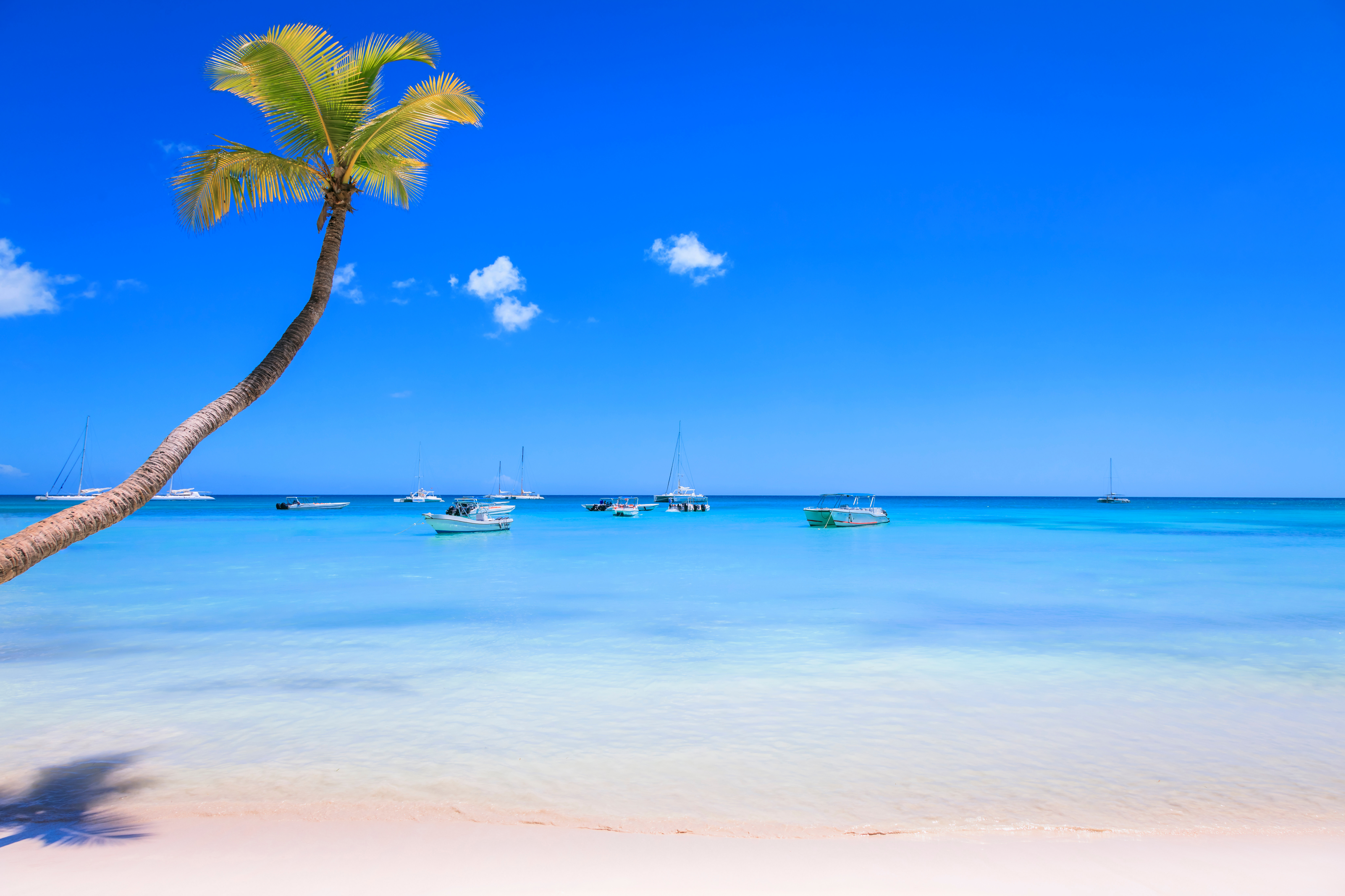 Tropisk strand med en palme og båter på det rolige, klart blå havet under en lys blå himmel