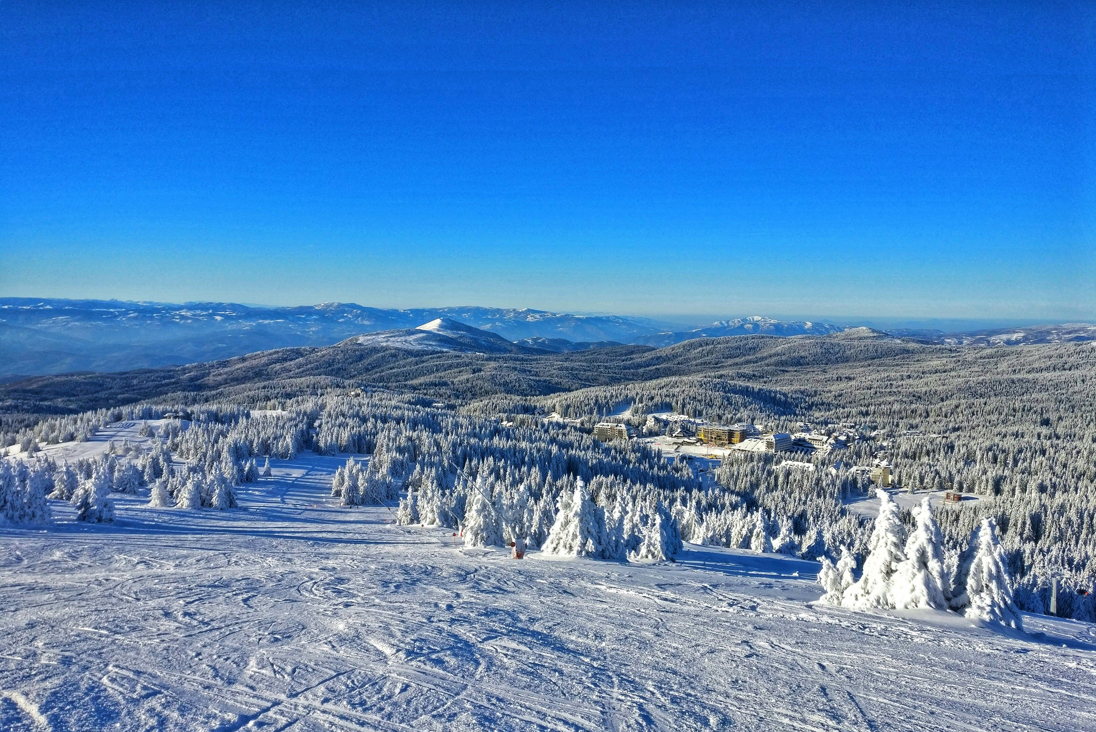 Reis til Kopaonik - Utsikt over skibakken i Kopaonik dekket av hvit snø med fjell, trær og blå himmel i enden av bakken