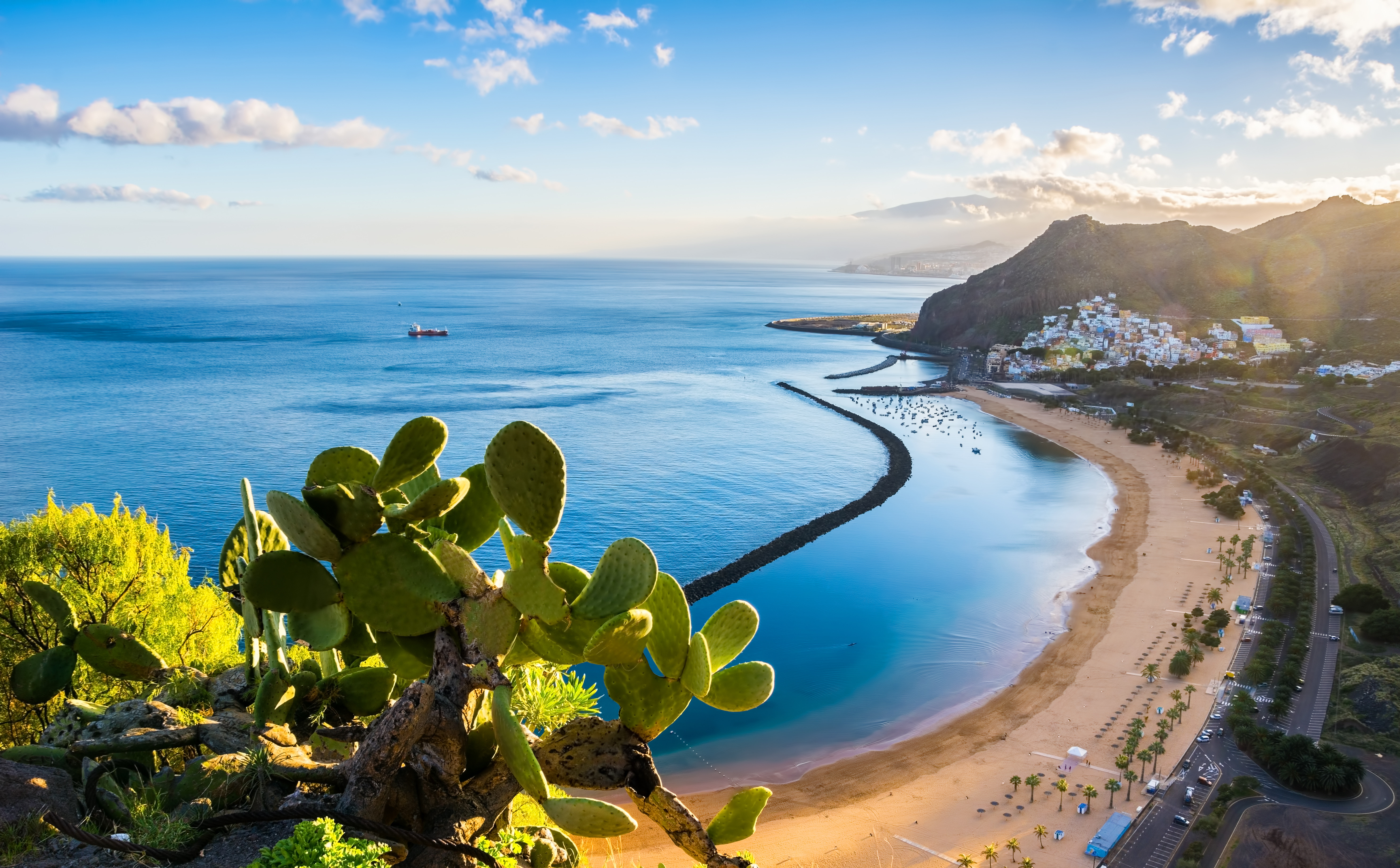 Utsikt over Playa de Las Teresitas, en gyllen sandstrand i Tenerife, omringet av klart blått hav og grønne kaktuser i forgrunnen