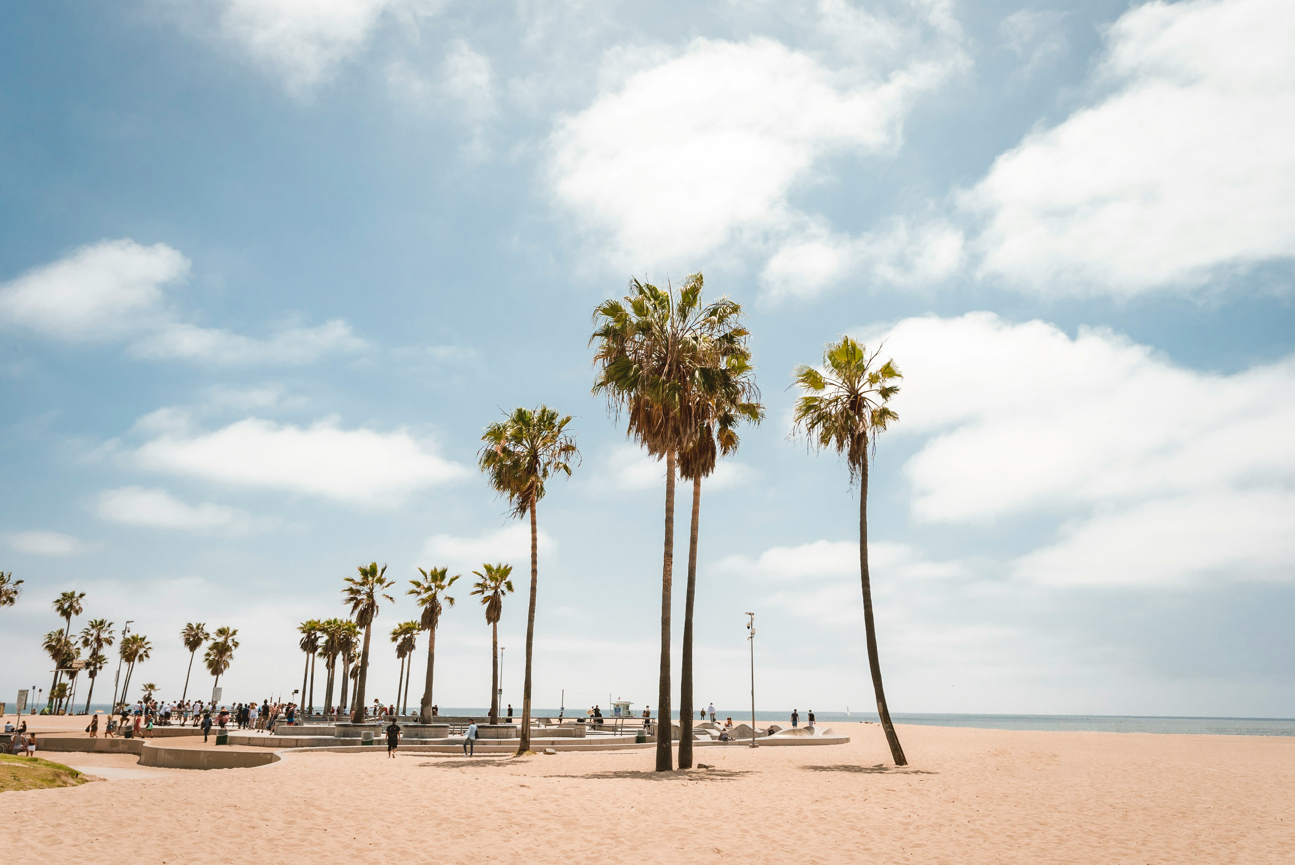 Solrik strandlandskap med høye palmer og en blå himmel, Venice Beach, California