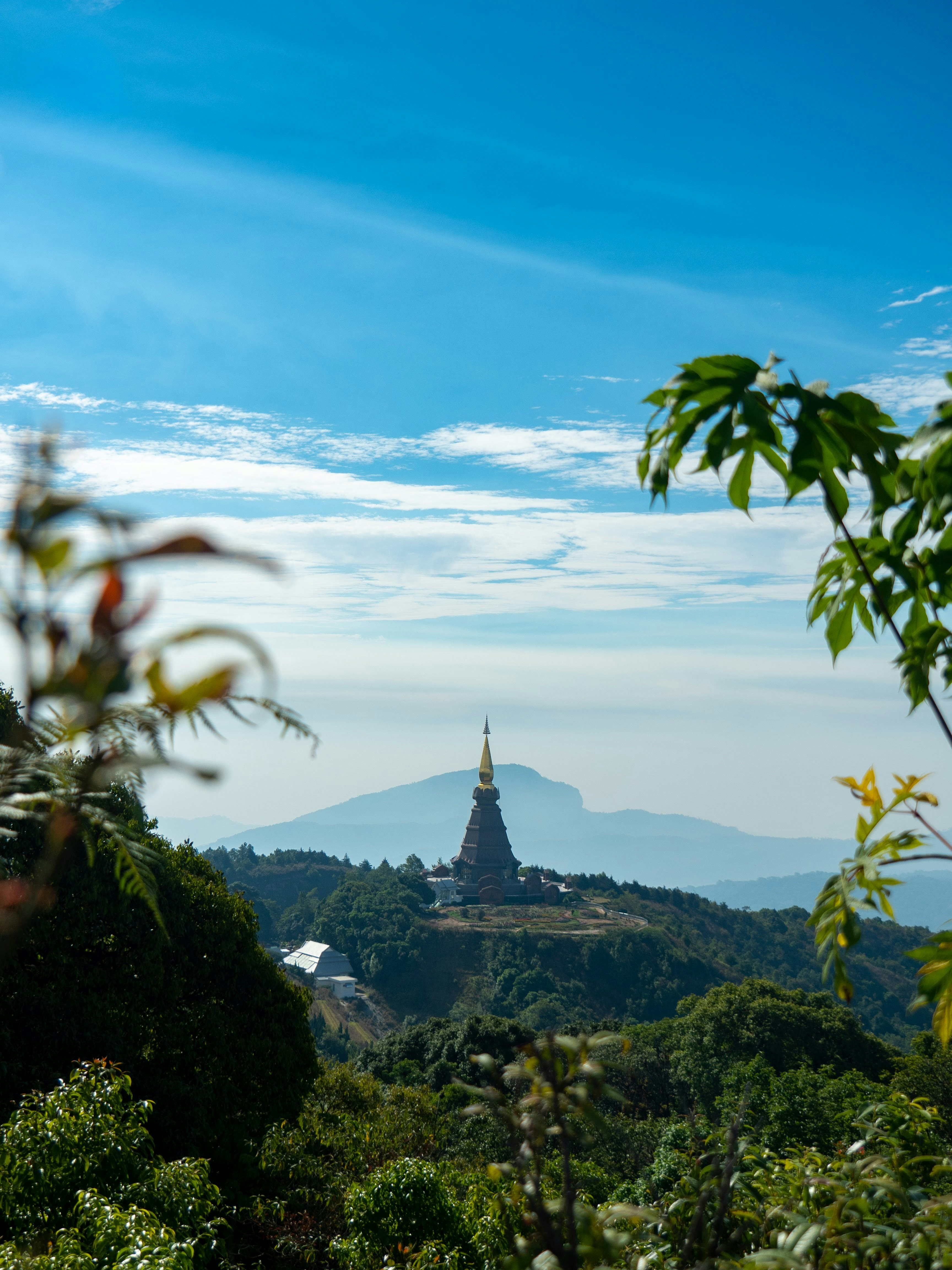 Utsikt gjennom jungel og tretopper til et tempel i bakgrunnen med blå himmel i Thailand